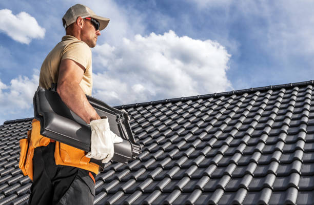 Best Roof Insulation Installation  in USA